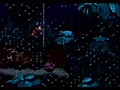 Donkey Kong Country (SNES) - Single-segment 100% 0:50 - Derek Kisman