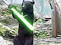 Lightsaber Bear