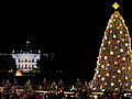 President Obama Lights the National Christmas Tree