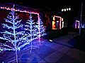 On Camera: Wild Christmas Light Display