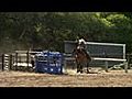 Sandman - Multi-Start,  a Great Minded Heeling Horse for Sale