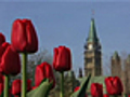 Things To Do in Ottawa