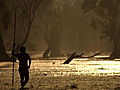 100 Places: Kakadu Wetlands,  Australia