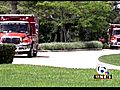 Family attacked by bees in Dania Beach (NewsChannel 5)