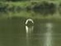 Environmentalists Oppose Shooting Range Near Birds