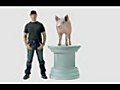 Dirty Jobs: Mike Rowe Puts A Pig On A Pedestal
