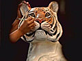 Artists come together to save tigers