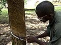 Firestone,  Rubber and Labor in Liberia