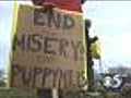 Protestors Denounce Puppy Mills Outside Pet Store