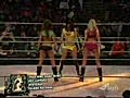 WWE Divas Dance Tribute!