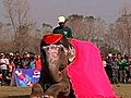 Elephants Strut Their Stuff at Nepal Beauty Pageant