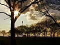 Royalty Free Stock Video SD Footage Sun GLinting Through Trees at a Park in Bayonne,  New Jersey