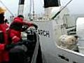 Anti-whalers pursue Japan fleet