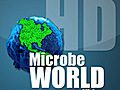 MWV Episode 45 - Metabolomics and the Microbiome