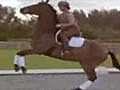 Video - Horse and Rider