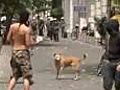 Greece riot dog is a hard mutt