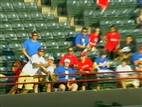 Fan falls to his death at baseball game