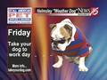 Helmsley the weather dog: Outdoor walking forecast