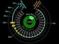 World Population