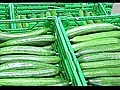 Bactérie : les ventes de légumes en berne