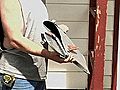 6-year-old Boy Takes Family Van,  Crashes