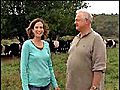 Belted Galloway Cattle