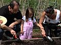 The Edible Garden