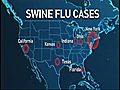 Texas toddler dies from swine flu