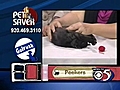 10/5 Pet Saver: Peekers the cat