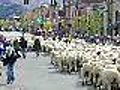 Trailing of the Sheep Festival,  Ketchum