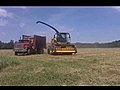 Chopping hay