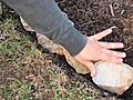 How to Lay Rocks for a Garden Border