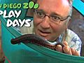 San Diego Zoo Play Days April 2-24