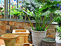 Weatherproof Pots and Planters