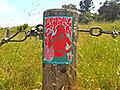 LA’s Laurel Canyon