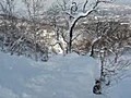 ぴょん♪