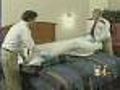 Neal: Bed Bugs Getting Worse In Denver