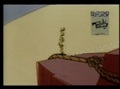 Road Runner & Wile E Coyote  - Run, Run, Sweet Road Runner 29/43