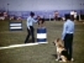 Browne, George: Blue Mountains: home movie (c1930) - Clip 3: Lifesavers march
