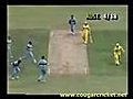 Funny Cricket