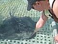 Feeding Stingrays at Castaway Cay