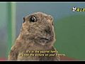 Dramatic Chipmunk Breaks Out               // video added December 21,  2009            // 0 comments             //                             // Embed video: