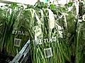 US bans some Japanese imports