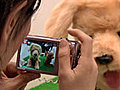 FujiFilm’s Z700 Digicam Recognizes Dog and Cat Faces