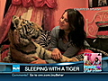 Teen sleeps with her pet tiger