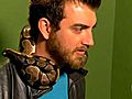 Rhett &amp; Link: Commercial Kings: Python