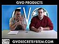 Network Marketing Companies   GVO Products