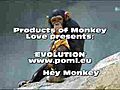 Evolution - Products of Monkey Love