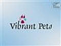 Healthy Vibrant Pets