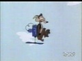 Road Runner & Wile E Coyote - Tired And Feathered 30/43